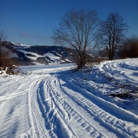 U Tomku Rejdova