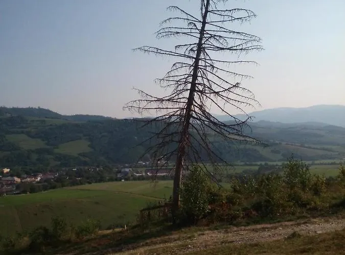 Gospodarstwo wiejskie U Tomku